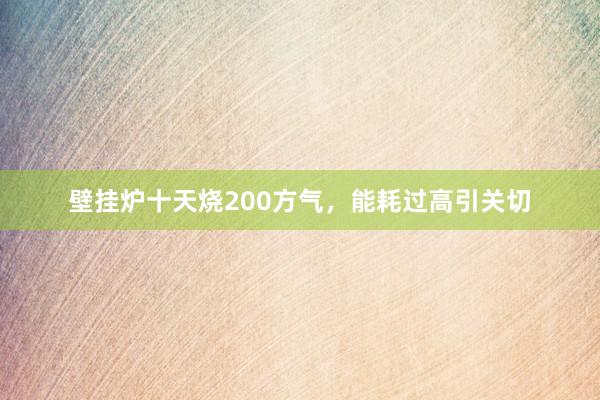 壁挂炉十天烧200方气，能耗过高引关切